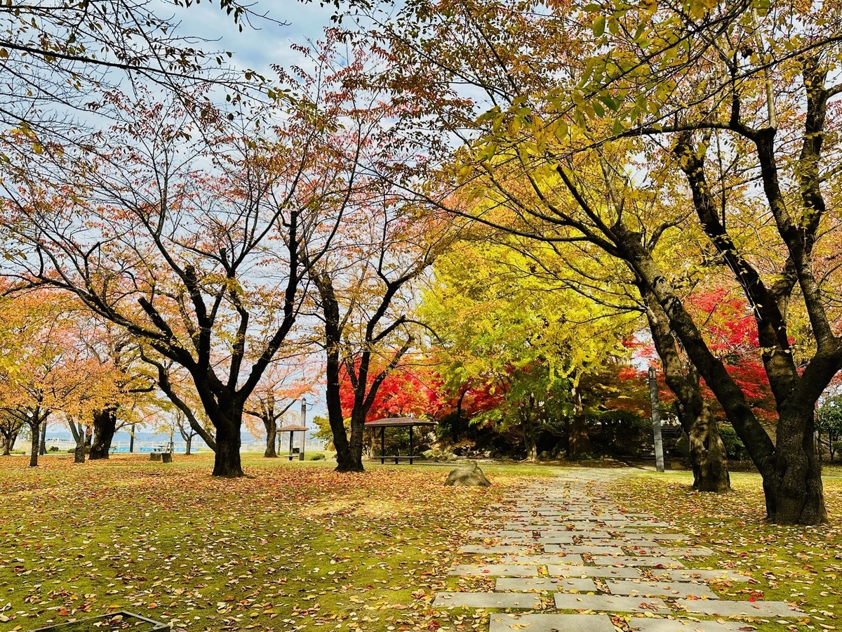 三八城公園の紅葉