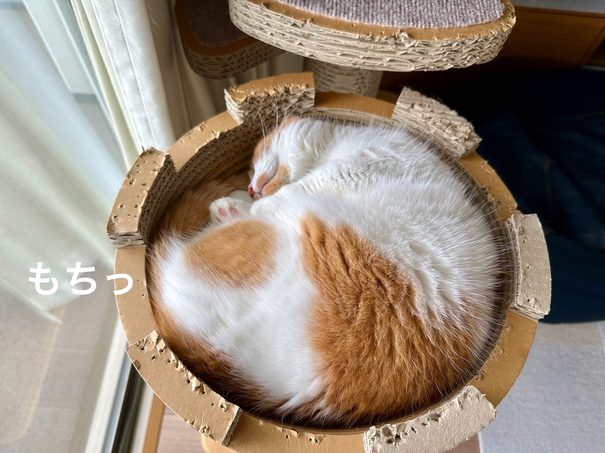 みたらし餅るるちゃん