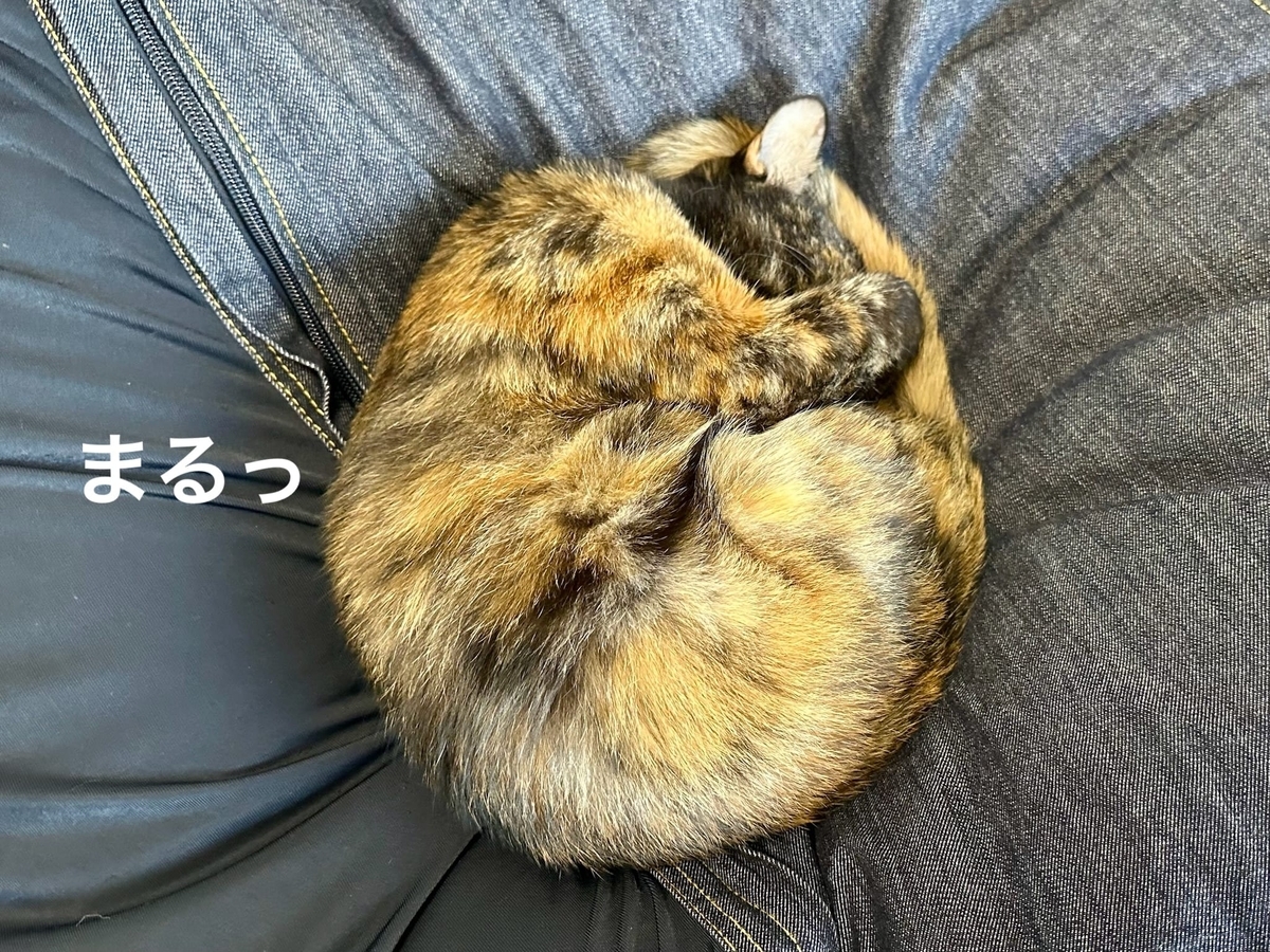 あんこ餅もなちゃん