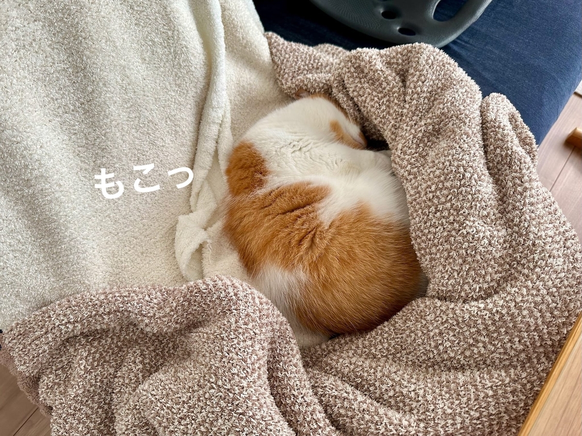 おくるみるるちゃん1