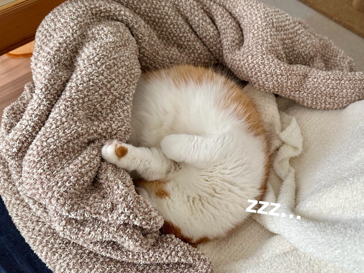 おくるみるるちゃん2