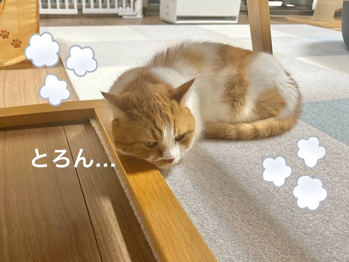 床暖で転がるるるちゃん