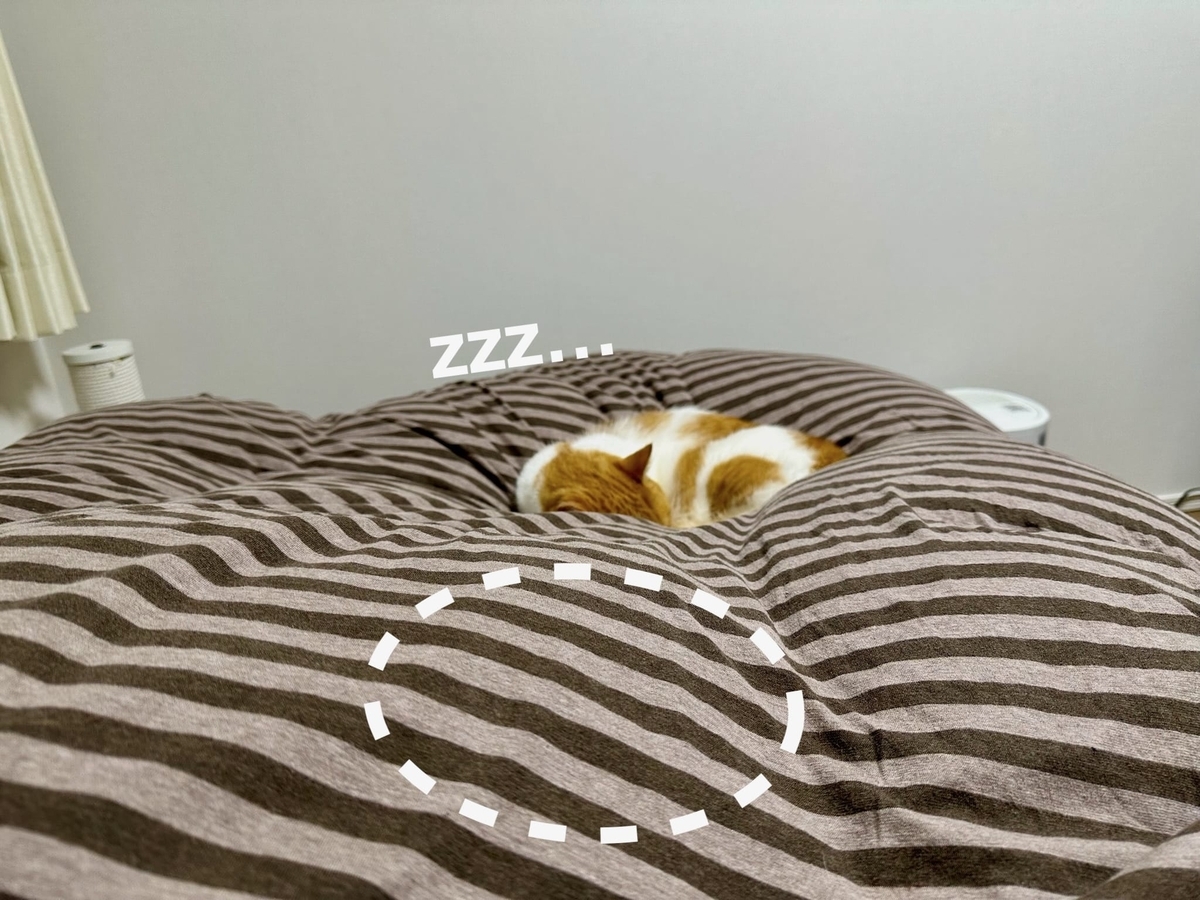 添い寝するるるもな