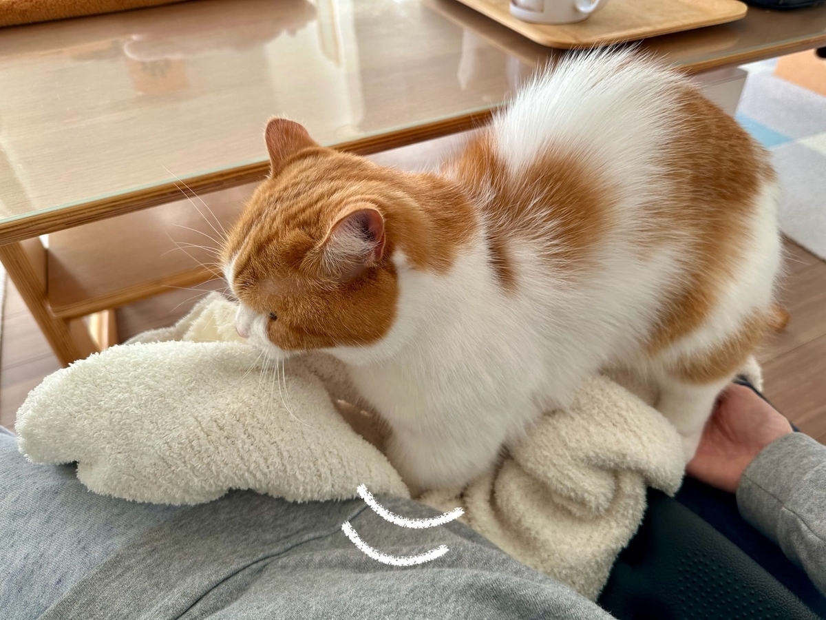 ふみふみするるるちゃん