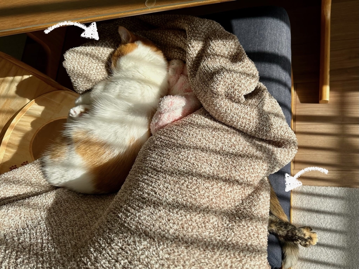 毛布越しにくっつくるるもな1