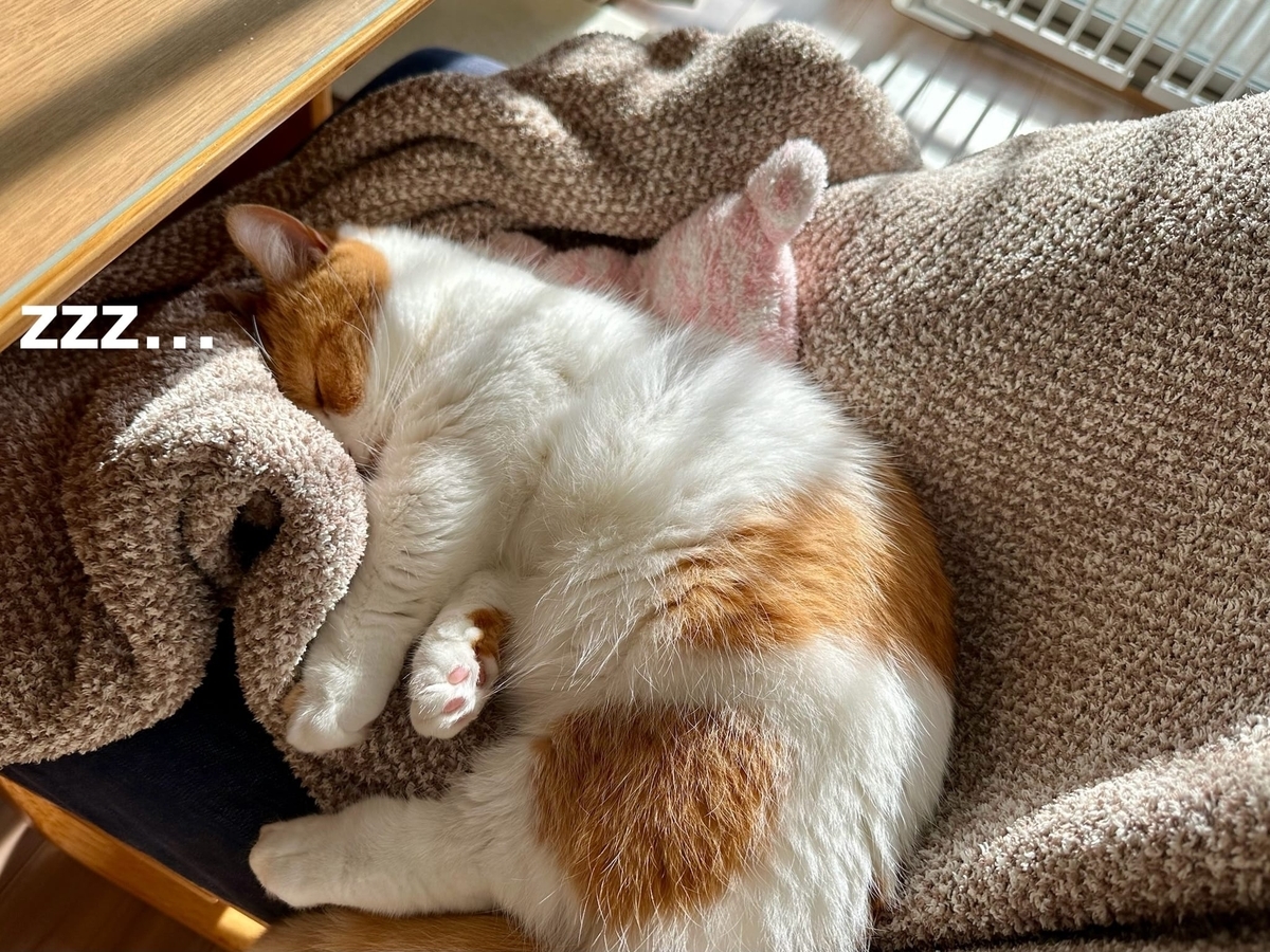 毛布越しにくっつくるるもな3