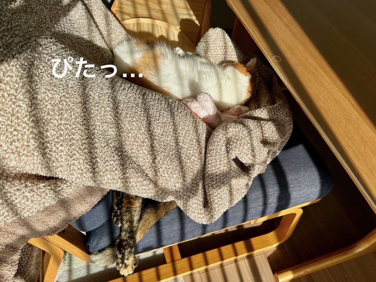 毛布越しにくっつくるるもな2