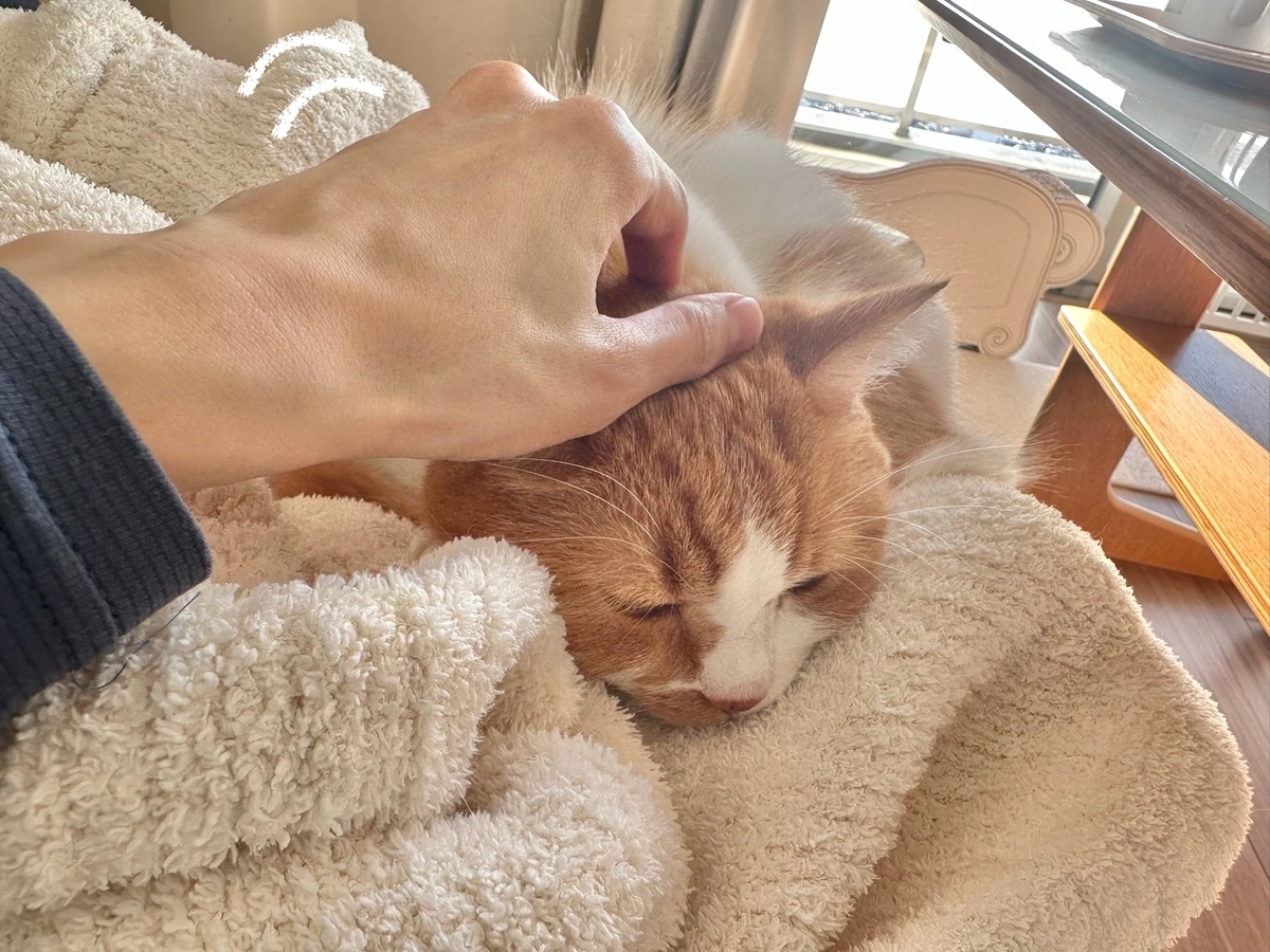なでなでタイムのるるちゃん