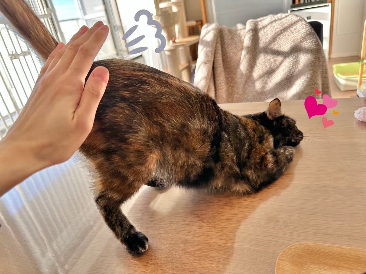 おしりトントンもなちゃん