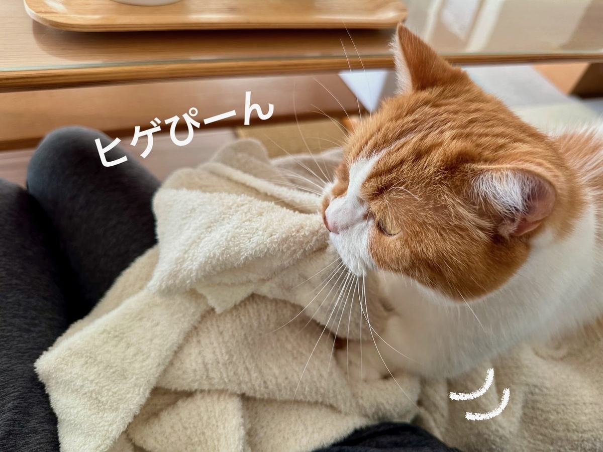 ふみふみするるるちゃん2