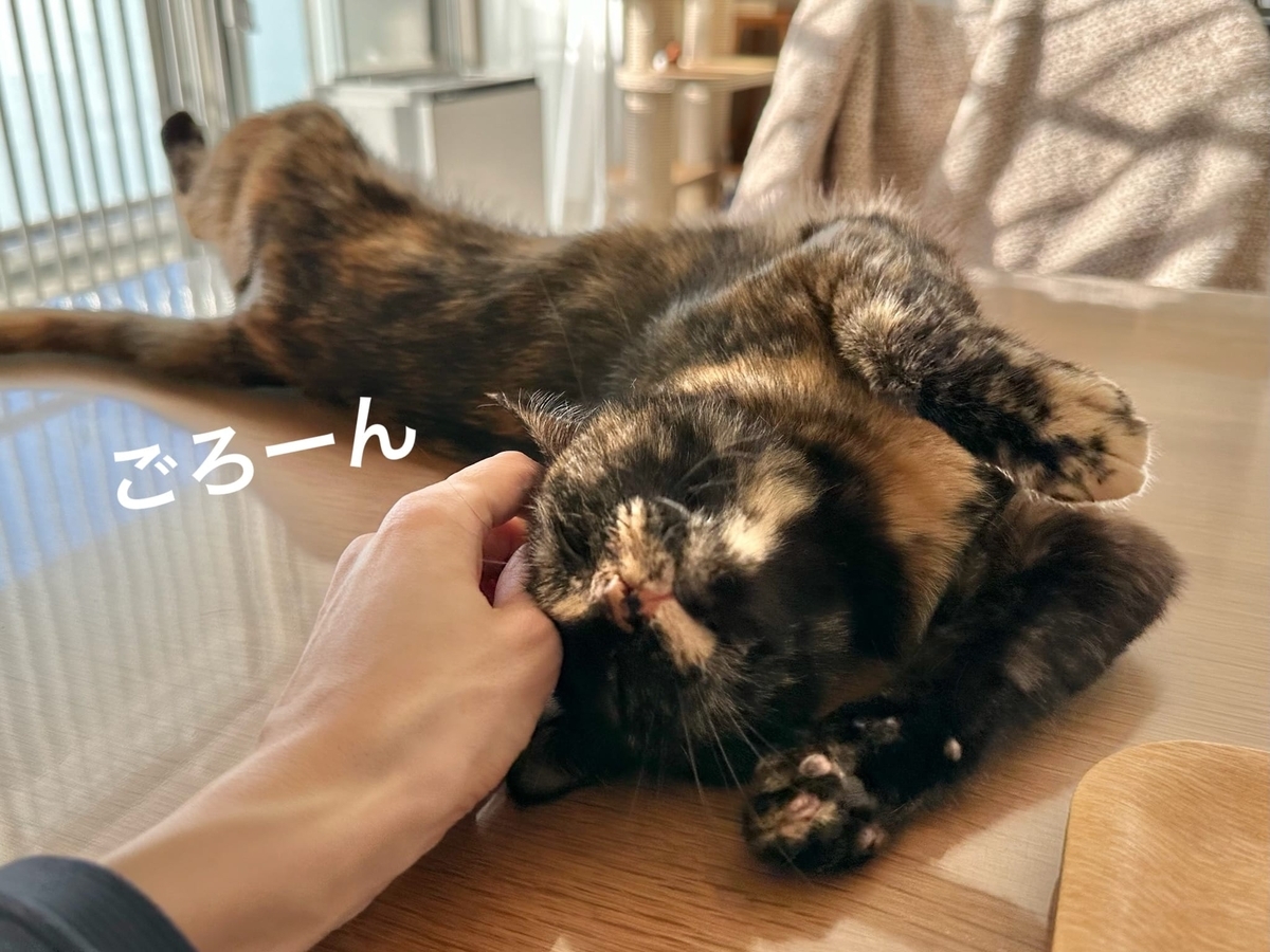 のびのびもなちゃん