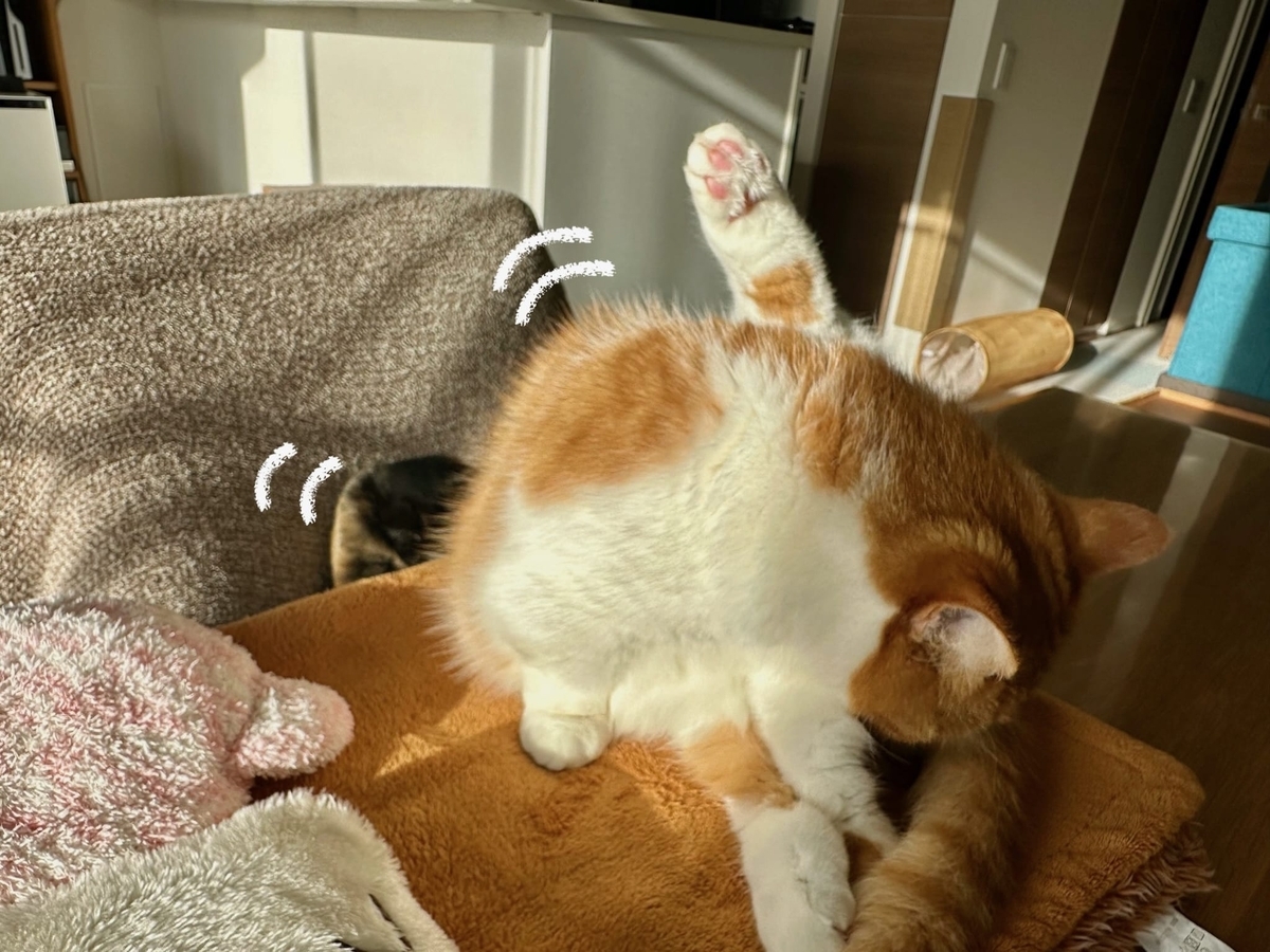 毛繕い中のるるもな