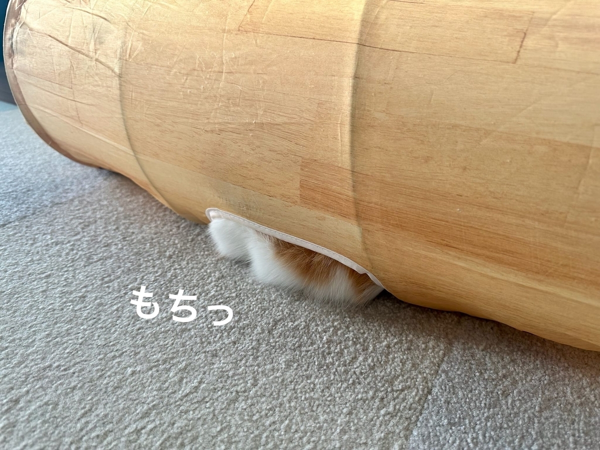 トンネルからはみ出るお腹