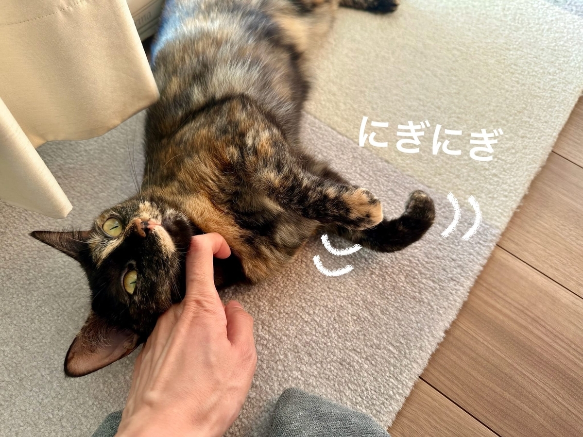 お手手にぎにぎもなちゃん
