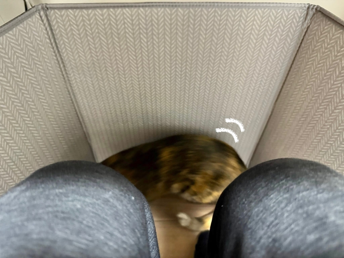 足元ヒーターで温まるもなちゃん1