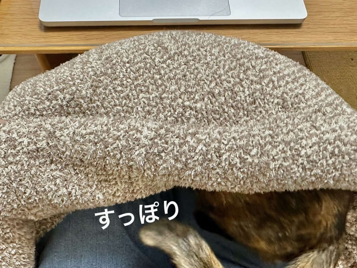 すっぽりもなちゃん