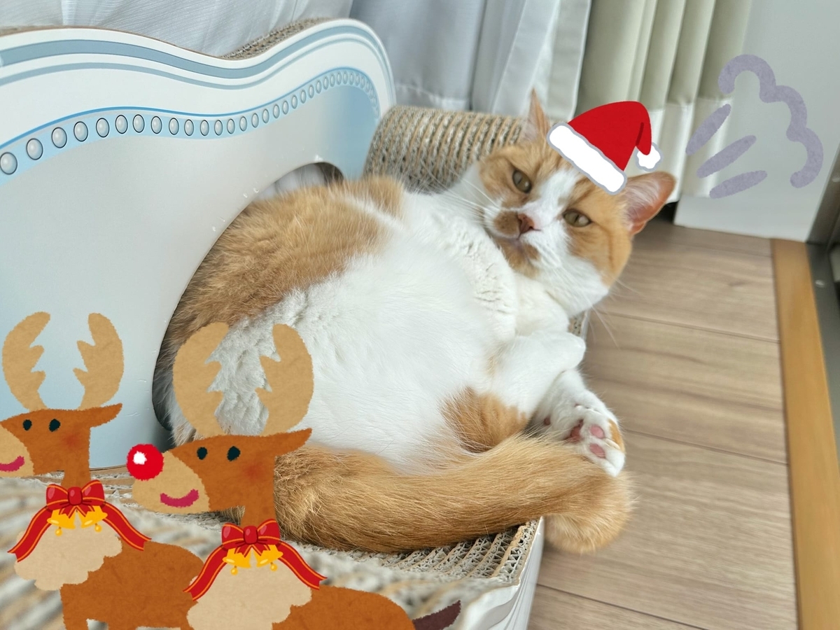 サンタるるちゃん