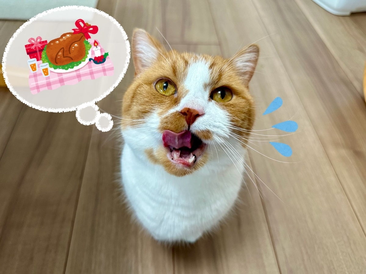 ご馳走をご所望のるるちゃん