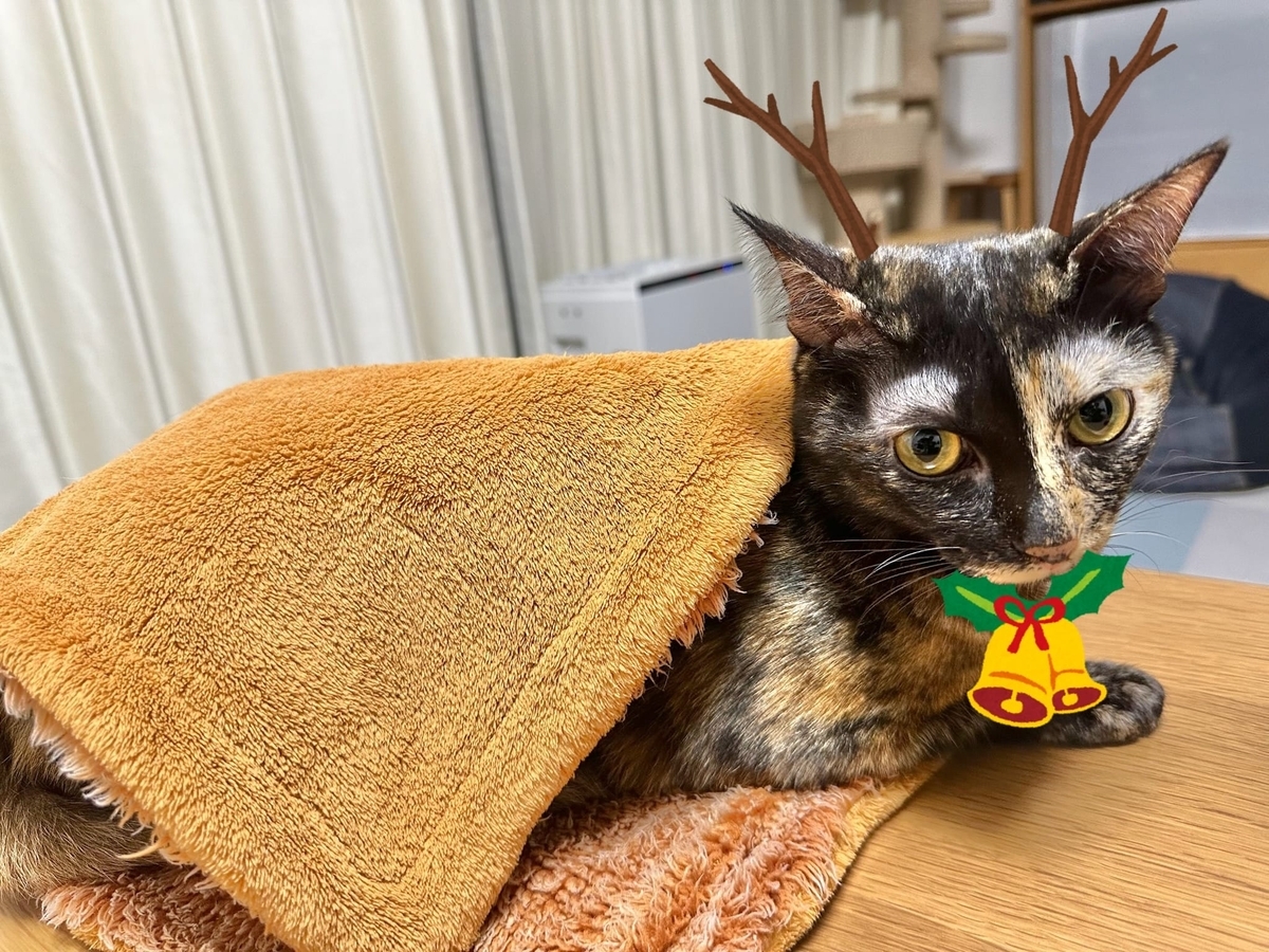 トナカイもなちゃん