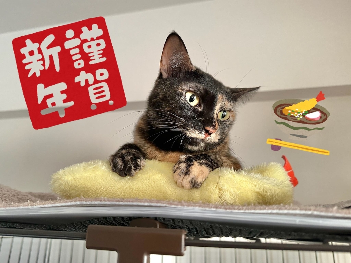海老天もなちゃん