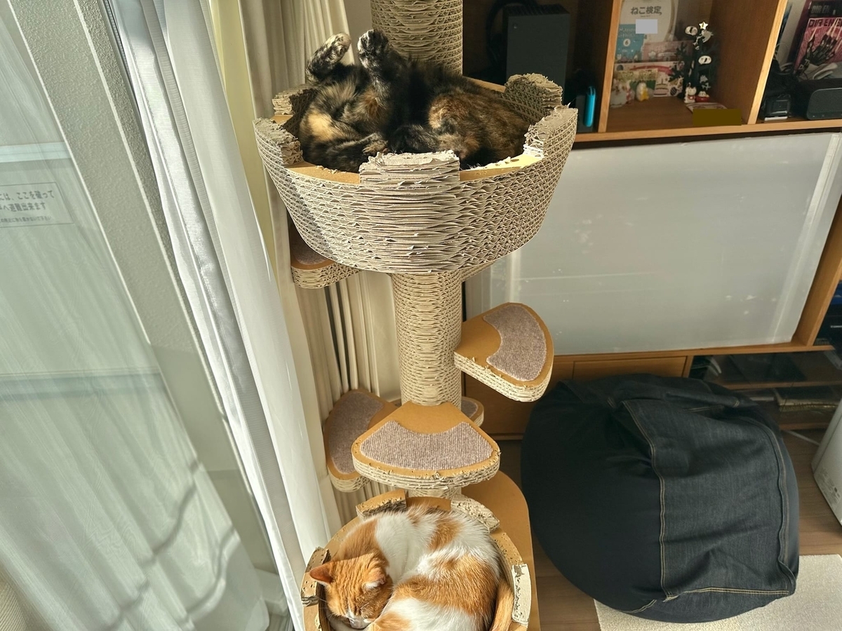 キャットタワーのるるもな1