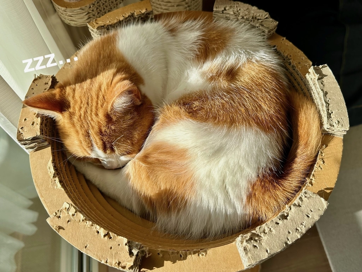 キャットタワーのるるもな2