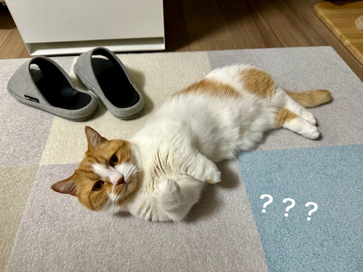 筋トレーナーるるちゃん3