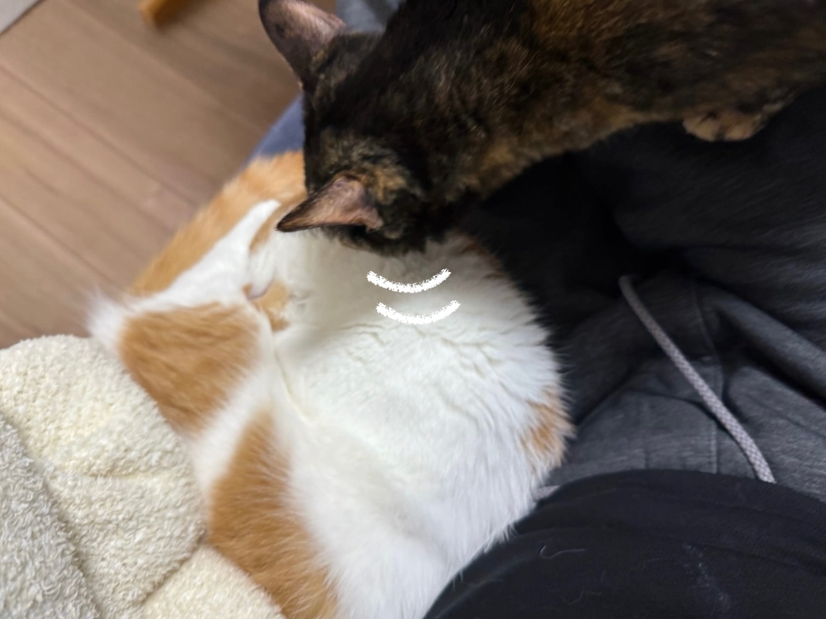 いちゃいちゃるるもな1