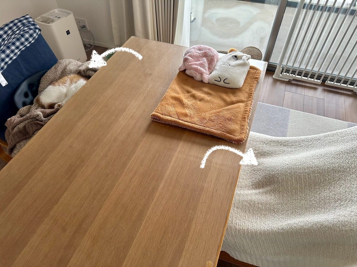 椅子を占領するるるもな1