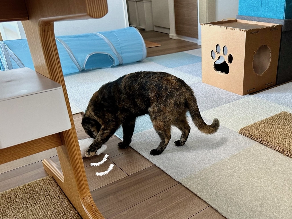 ぬいぐるみにじゃれるもなちゃん2