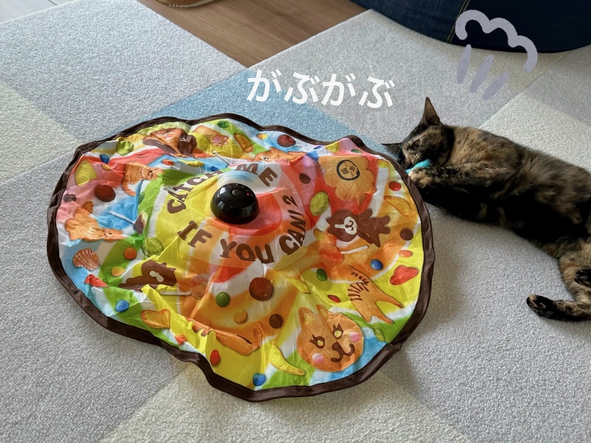 キャッチミーイフユーキャンともなちゃん2