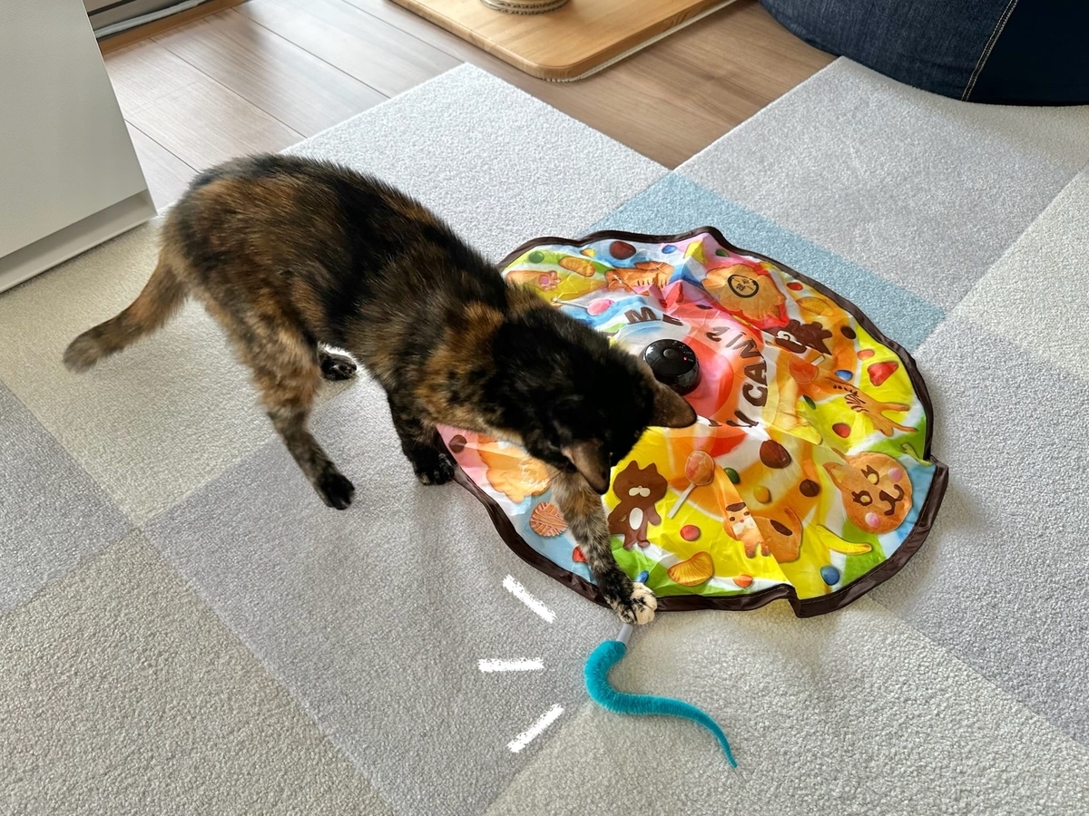 キャッチミーイフユーキャンともなちゃん1