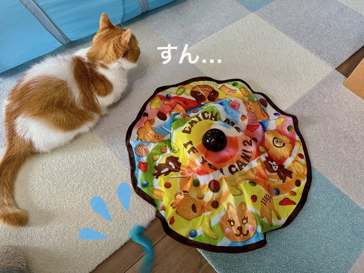 キャッチミーイフユーキャンとるるちゃん2