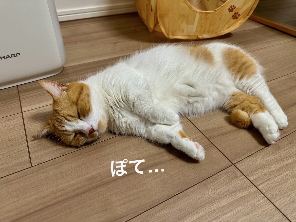 床暖にとろけるるるちゃん