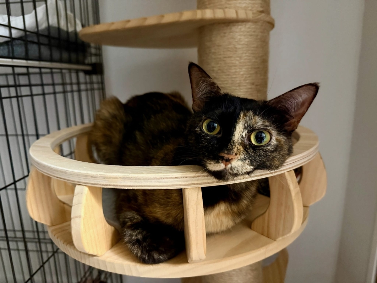 お目目きゅるるんもなちゃん2