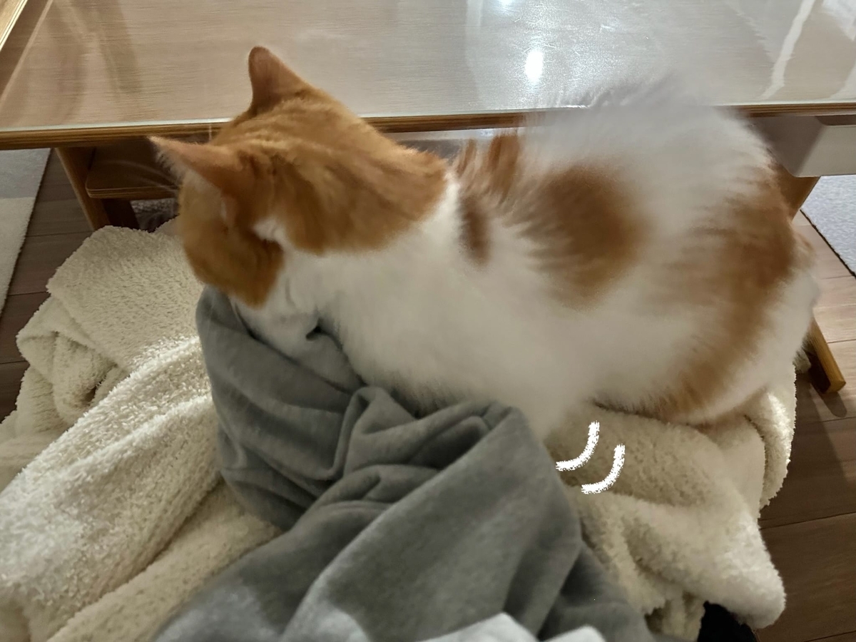 ふみふみするるるちゃん