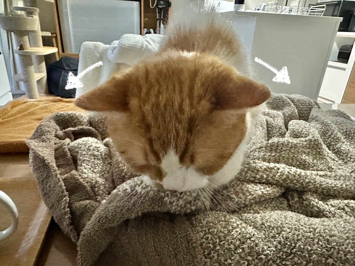 ふみふみタイムのるるちゃん3