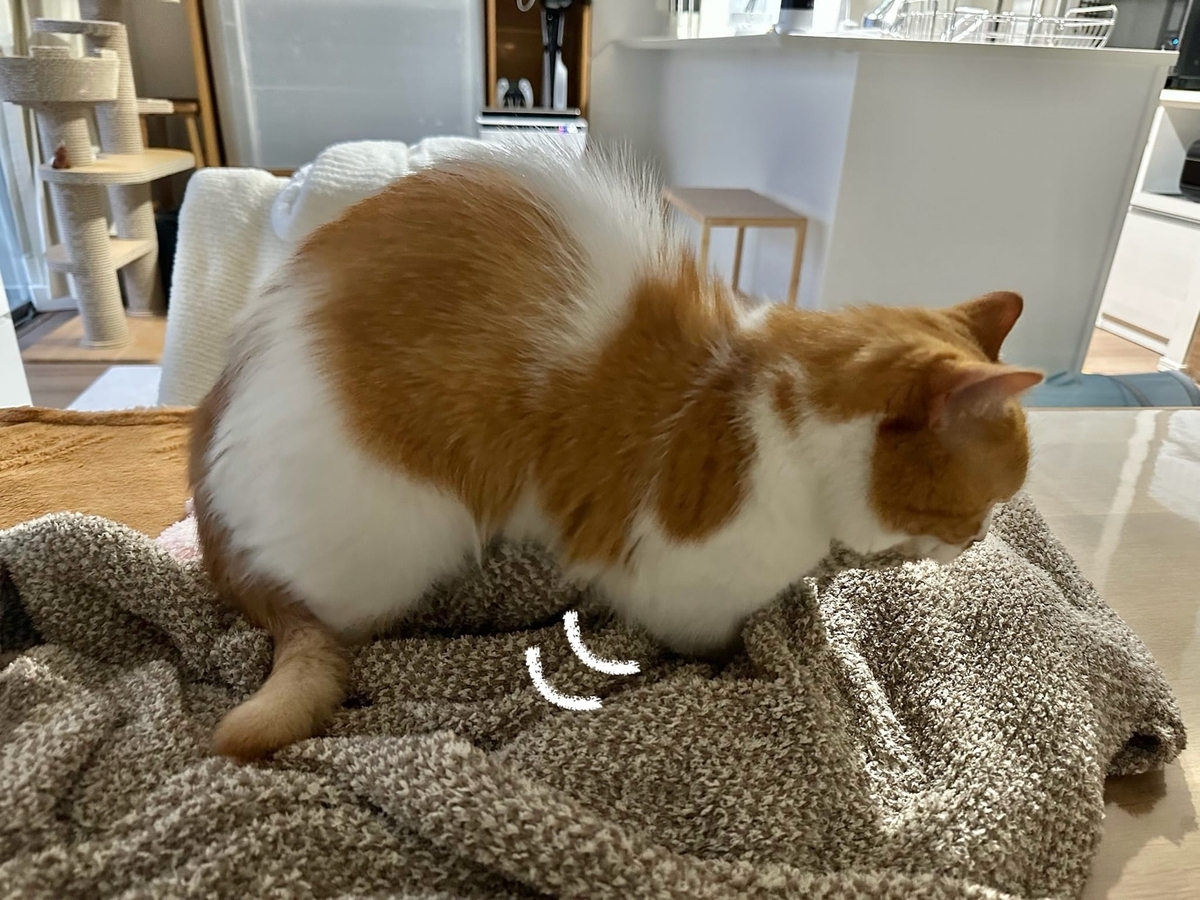 ふみふみタイムのるるちゃん1