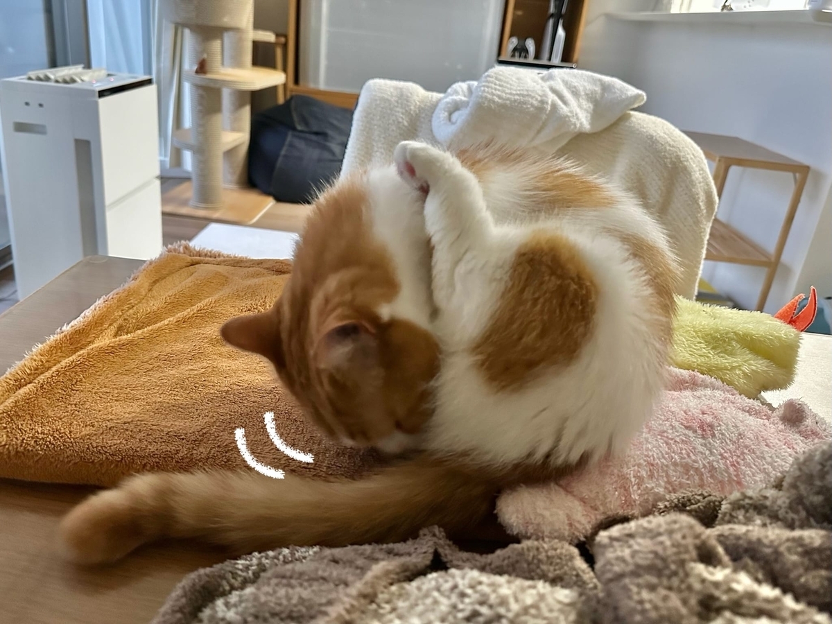 ふみふみタイムのるるちゃん4