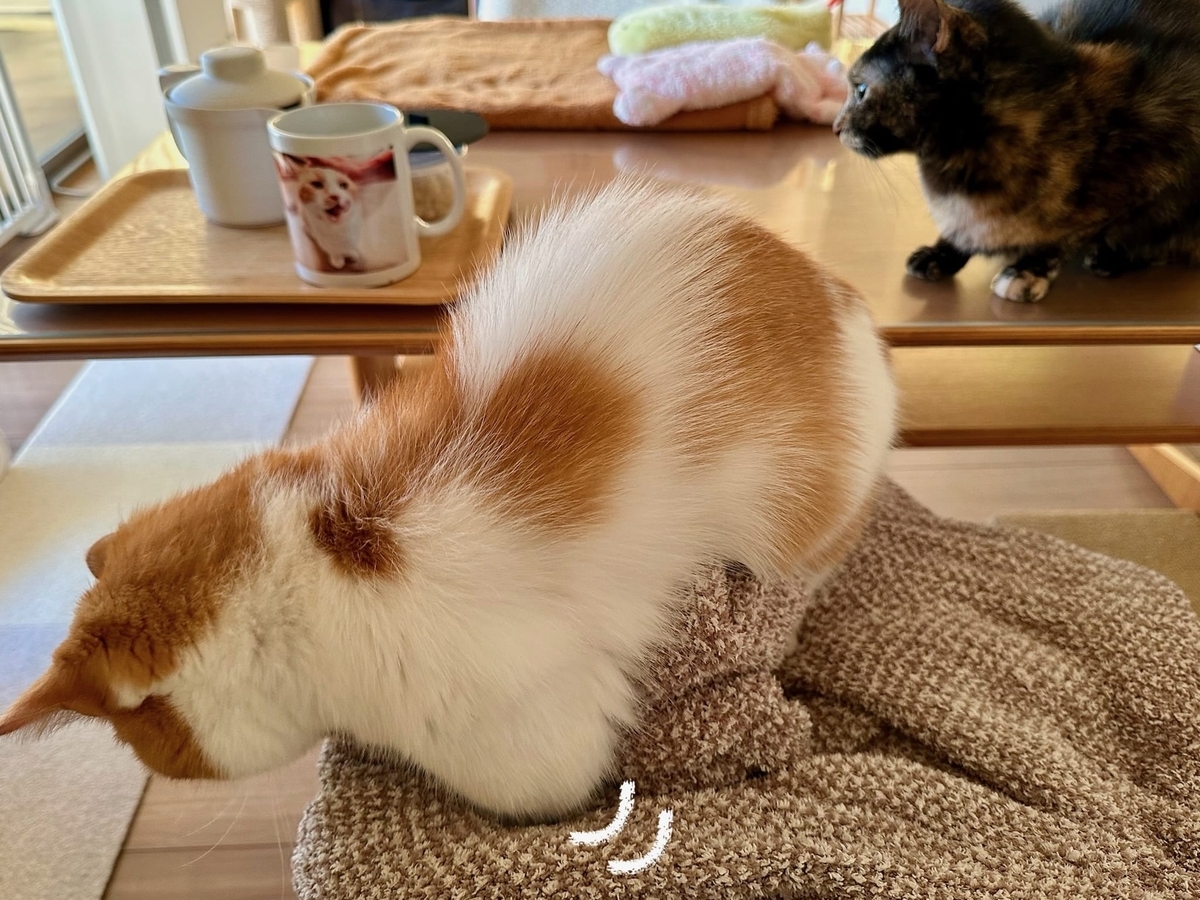 ふみふみタイムのるるもな3