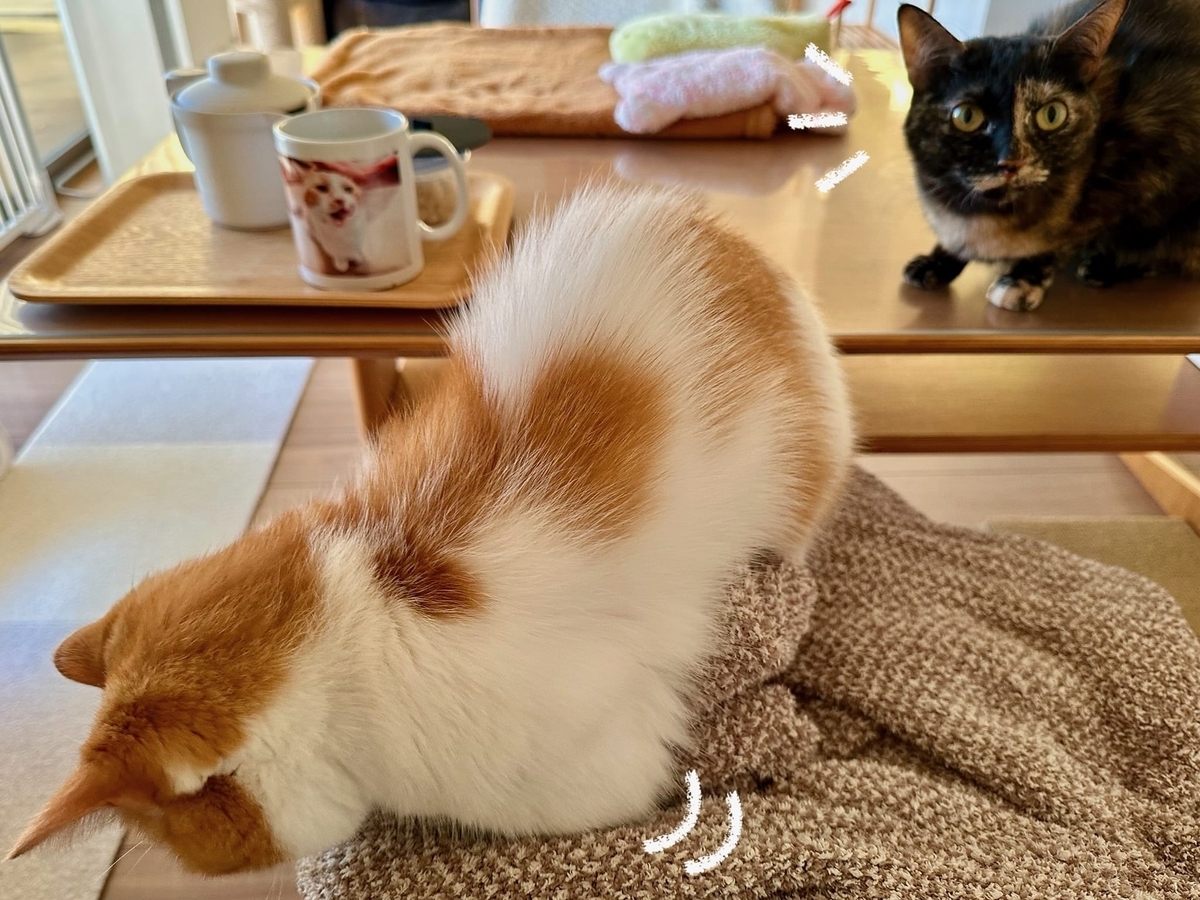 ふみふみタイムのるるもな1