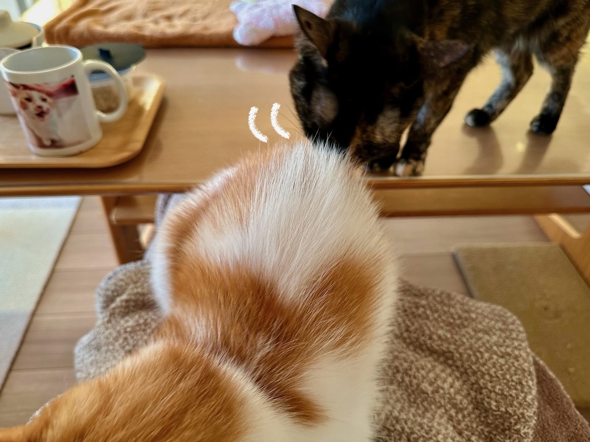 ふみふみタイムのるるもな2