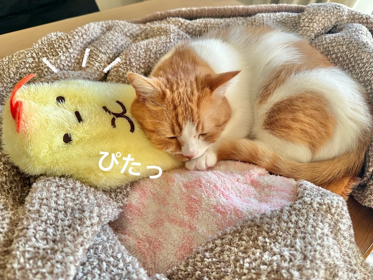湯たんぽにくっつくるるもな1