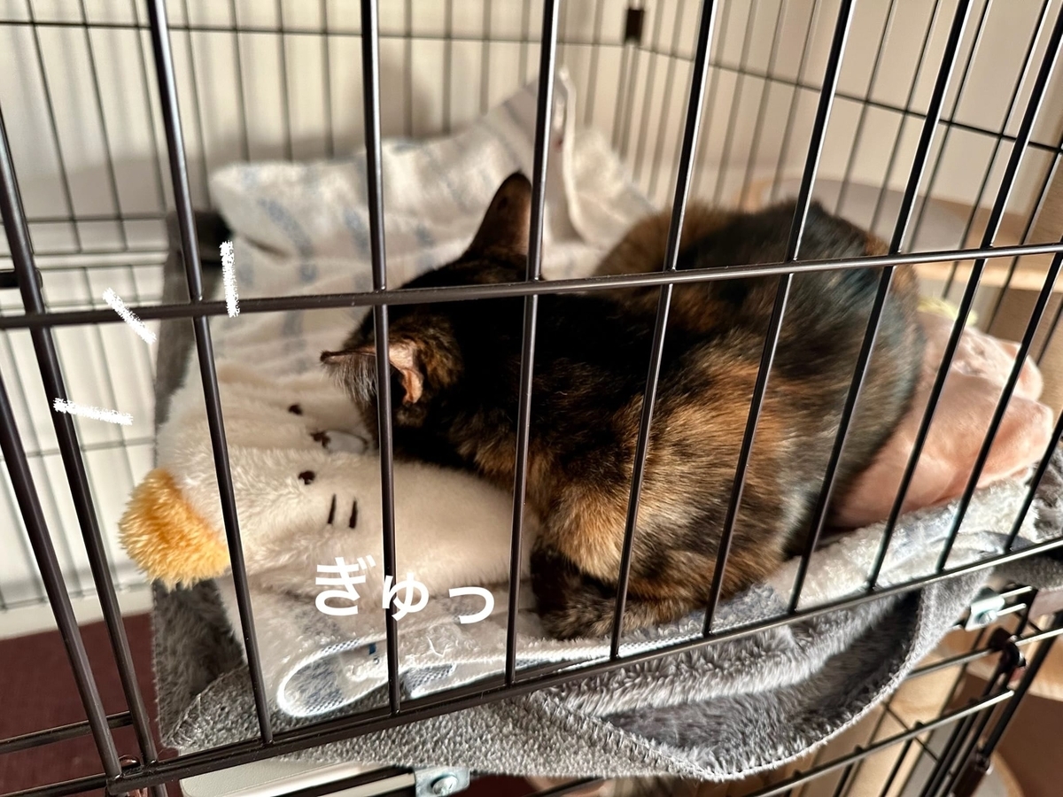 湯たんぽにくっつくるるもな2