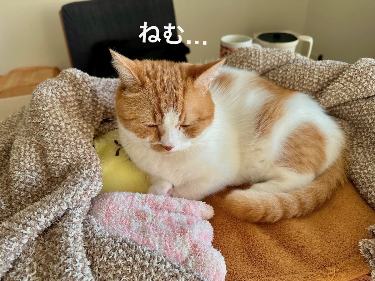 おねむのるるちゃん