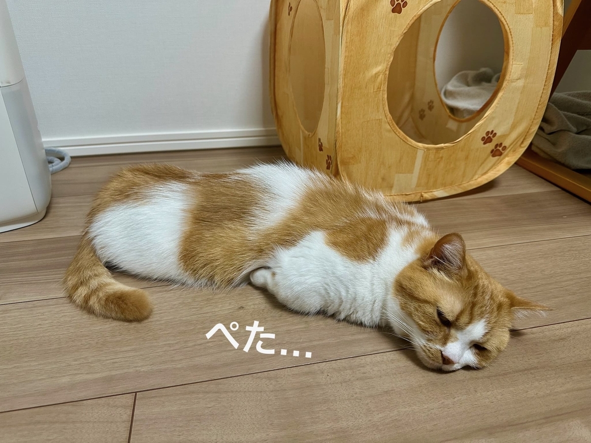 床暖にとろけるるるちゃん2