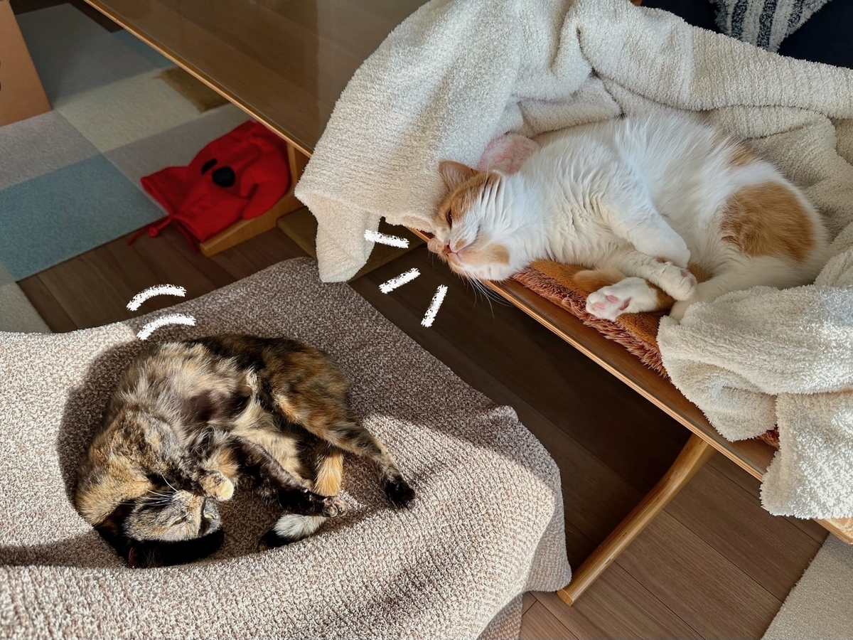 お昼寝タイムのるるもな4