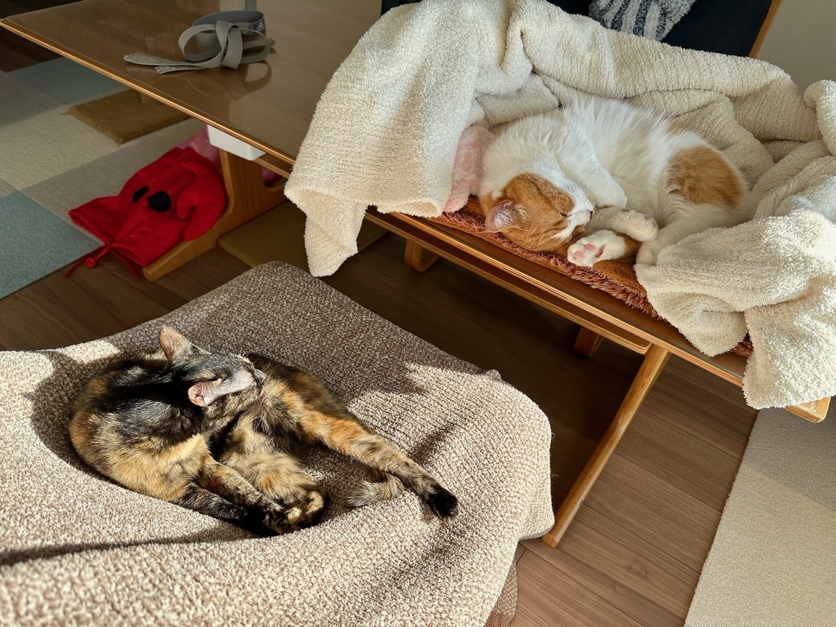 お昼寝タイムのるるもな1