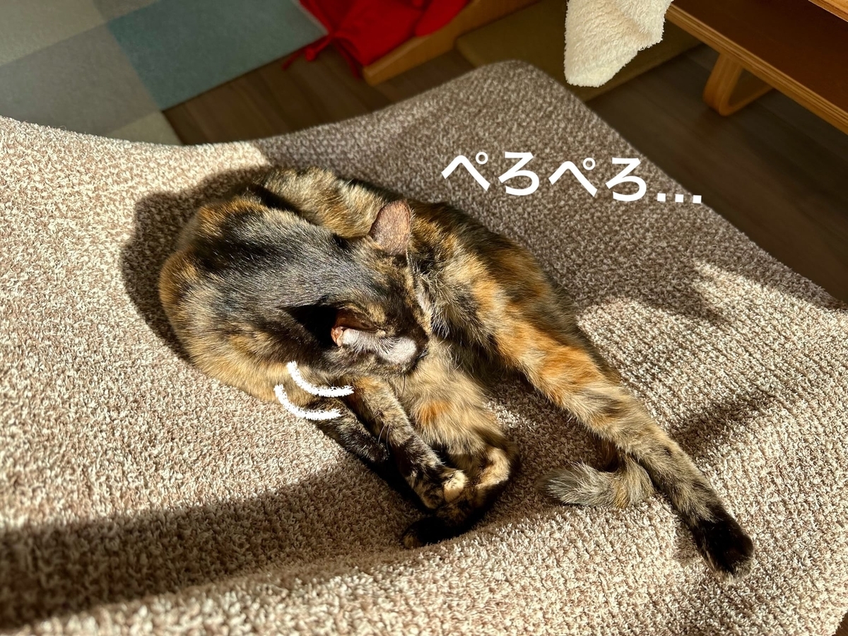 お昼寝タイムのるるもな3