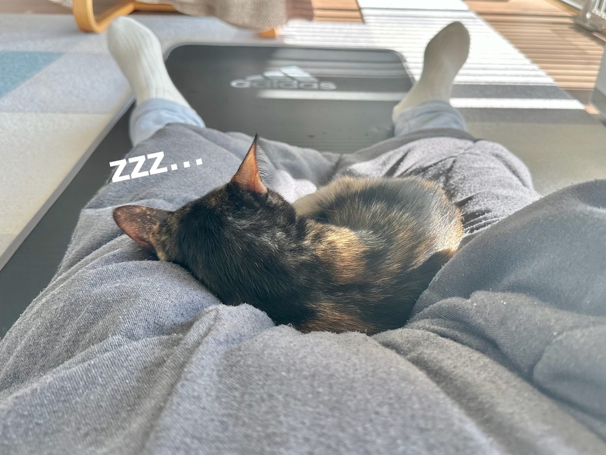 くっつくもなちゃん1